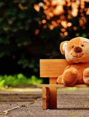 23.11.2018 R. – DZIEŃ PLUSZOWEGO MISIA