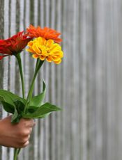 PODZIĘKOWANIA DLA RADY RODZICÓW