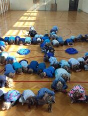 UDZIAŁ W AKCJI #challengeniebieskiemotyle2021