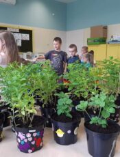 SADZENIE ROŚLIN – GRUPA VI