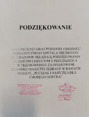 ZAKOŃCZENIE AKCJI „PLUSZAK I BAJECZKA DLA CHOREGO DZIECKA”