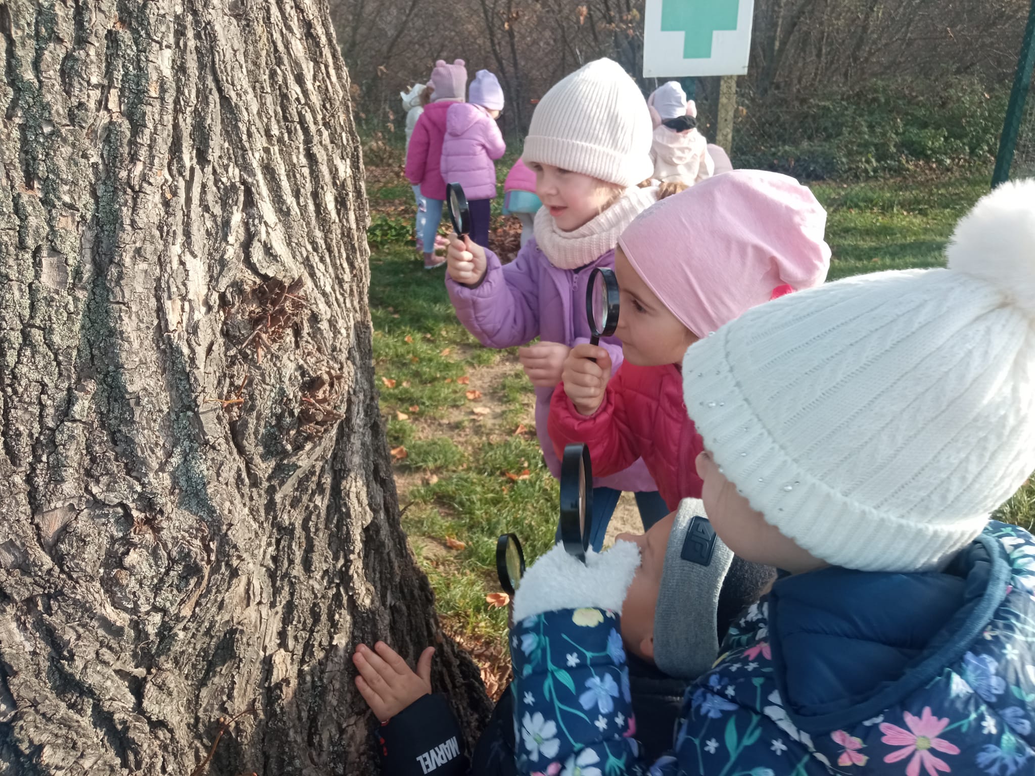 REALIZACJA PROGRAMÓW „MALI WIELCY ODKRYWCY” ORAZ „Z KICIĄ KOCIĄ MALUCHY ZAMIENIAJĄ SIĘ W ZUCHY”